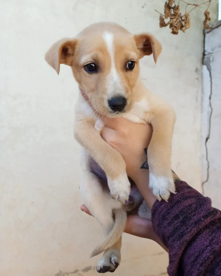 Huellas de vida5 768x960