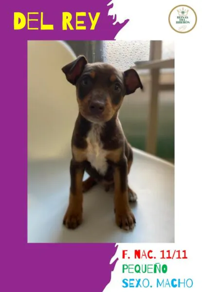 Las Reinas del Biberon1