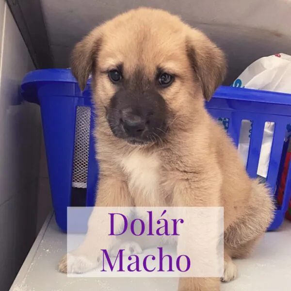 Las Reinas del Biberon3