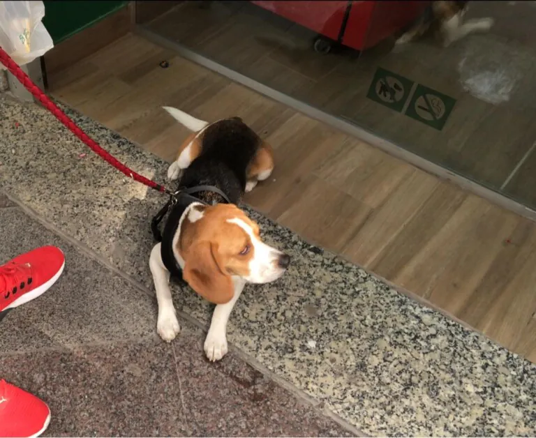 Las Reinas del Biberon6 768x628