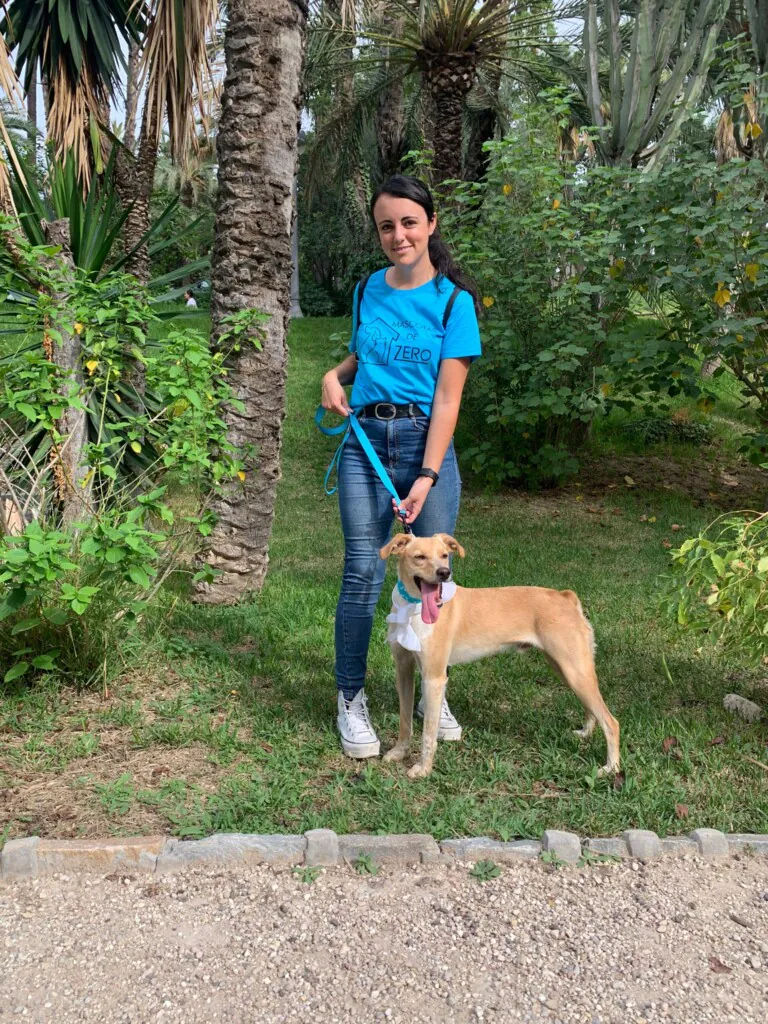 Mascotas de Zero3 768x1024