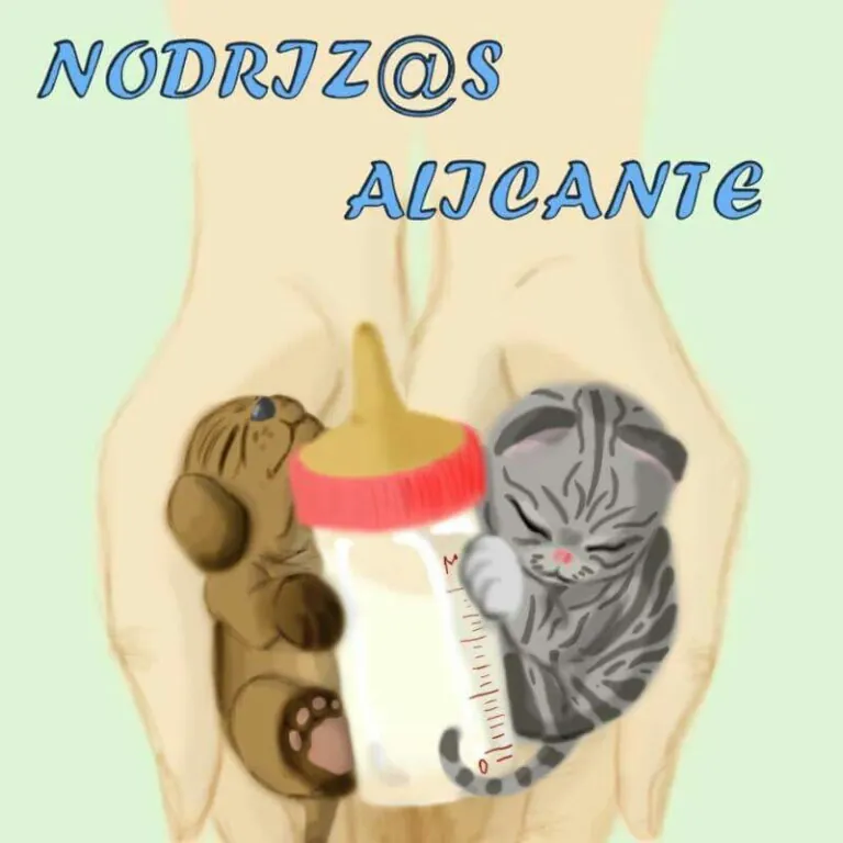 Nodrizas Alicante logo 768x768