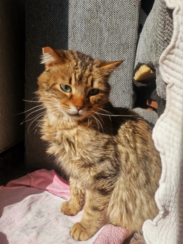 PATAS SIN FRONTERAS5 768x1024