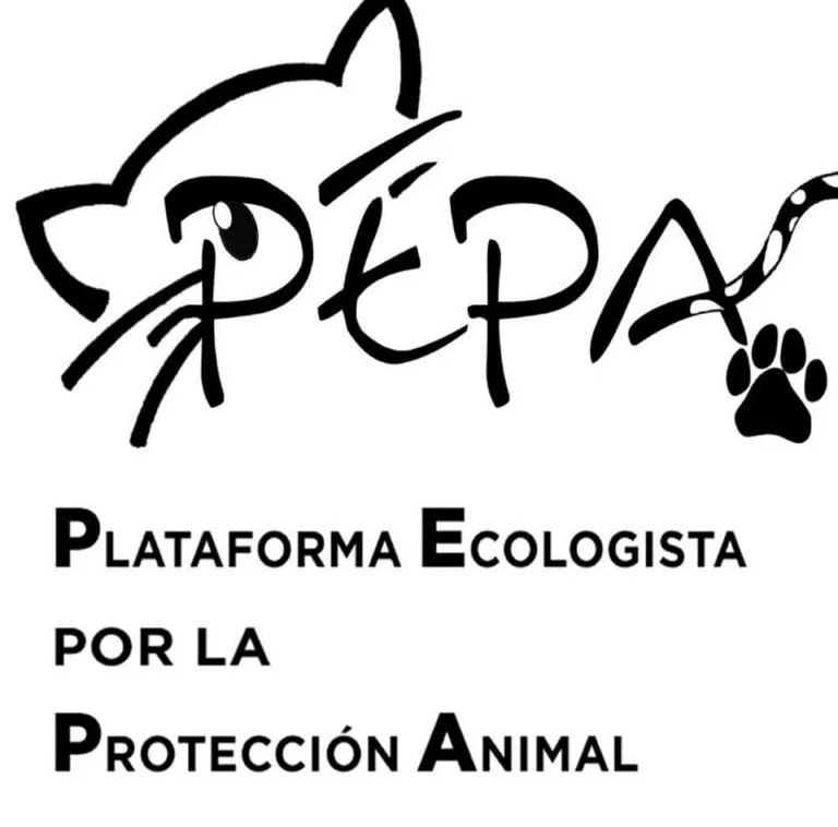 PEPA logo 768x758