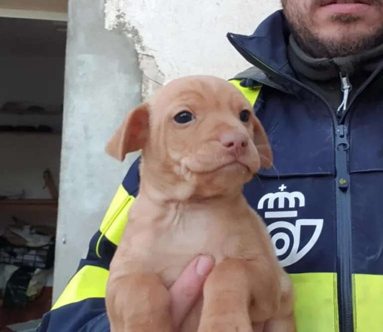 TULA1 768x665