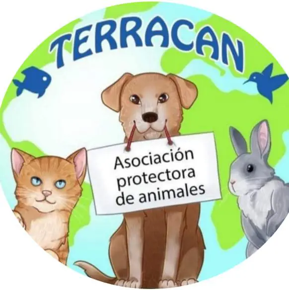 Terracan logo