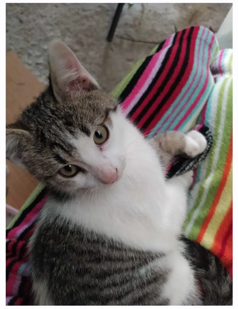 Xuntos As Marinas1 768x996