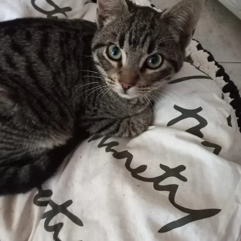 Xuntos As Marinas2 768x768