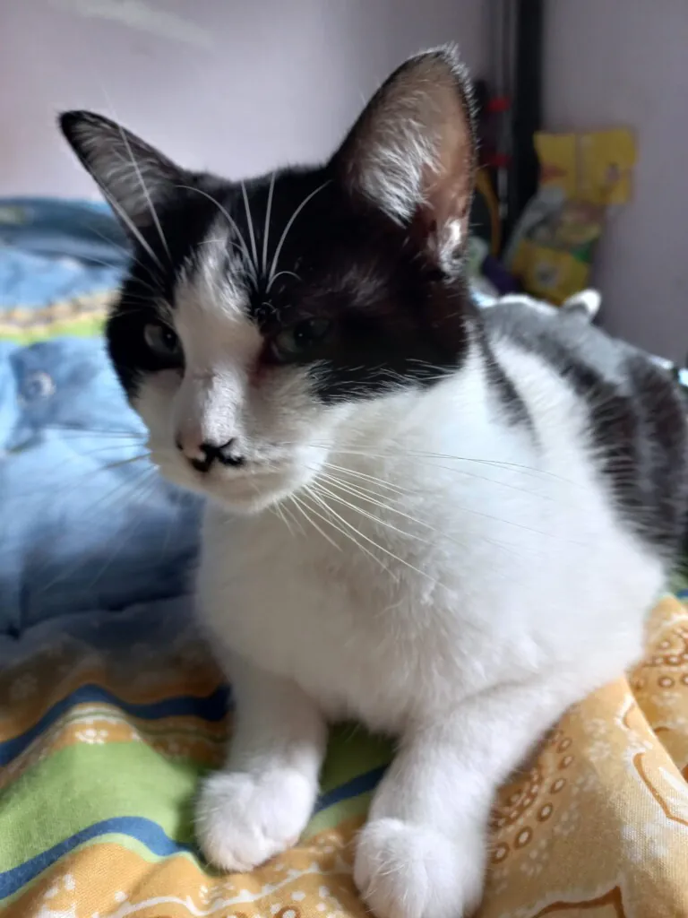 Xuntos As Marinas3 768x1024