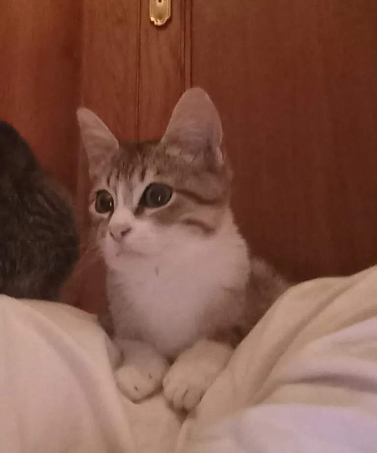 Xuntos As Marinas4 768x921