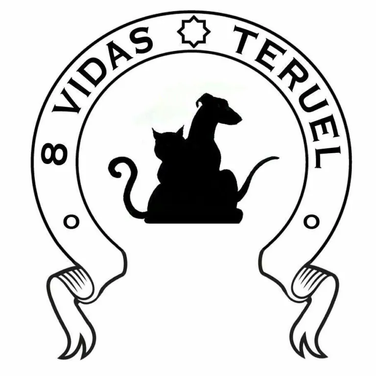 8 Vidas Teruel logo 768x768