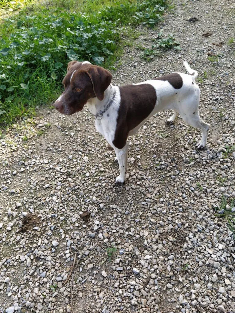 A.G.A ORIHUELA4 768x1024