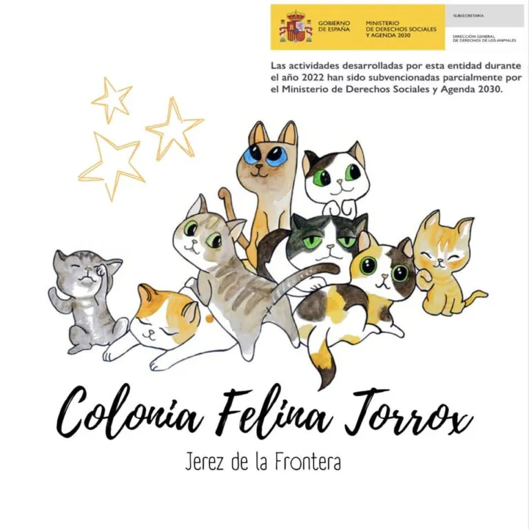 A.P. Colonia Felina Torrox logo 768x768