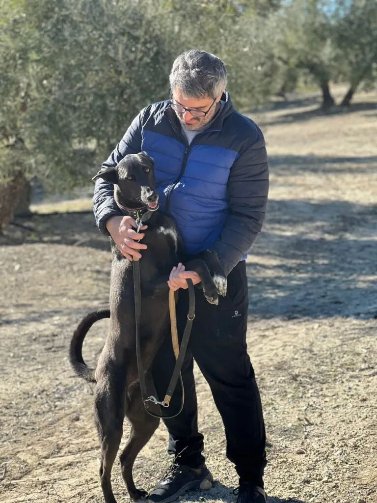 ABYDA Jaen5 768x1024