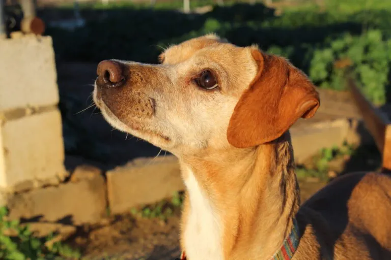 ACUDAME Merida Badajoz2 768x512