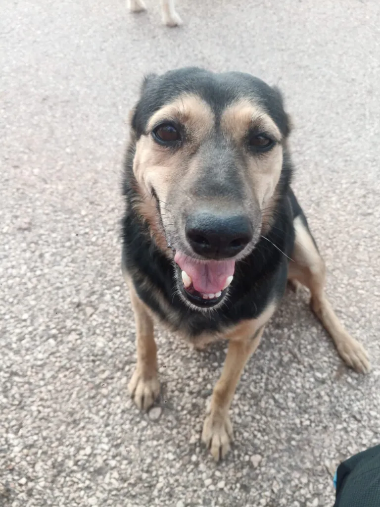 ADA HUELLA FIEL6 768x1024