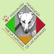 AMIDEA logo