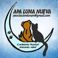 APA LUNA NUEVA logo