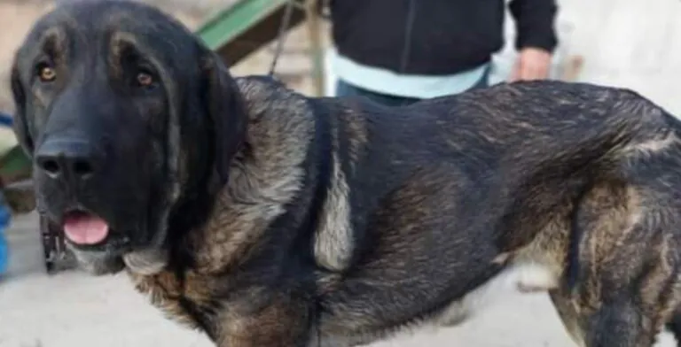 APA LUNA NUEVA5 768x392