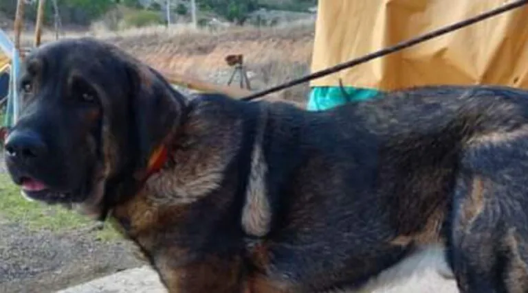 APA LUNA NUEVA6 768x427