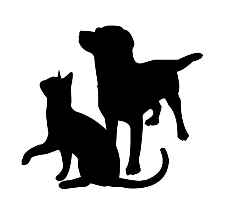 Aapafoz logo 768x722