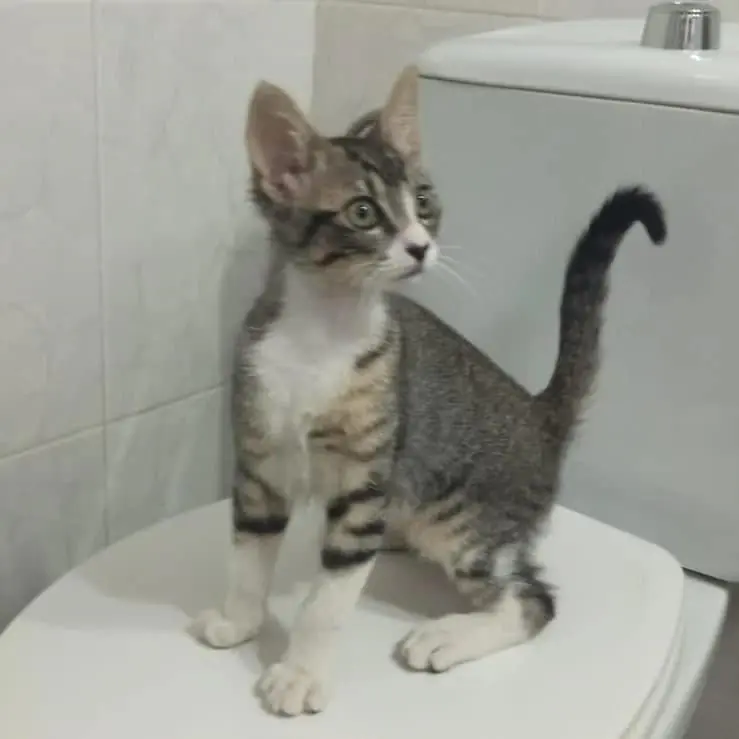 Adopta una Vida5