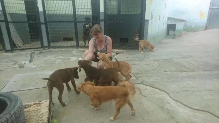 Almeria Defensa Animal1 768x432