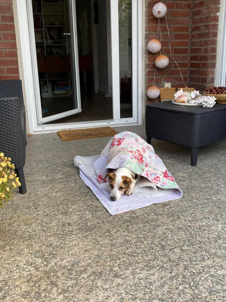 Almeria Defensa Animal3