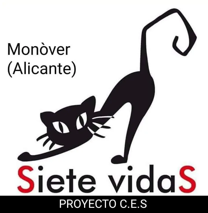 Asociacion 7 vidas Orihuela logo