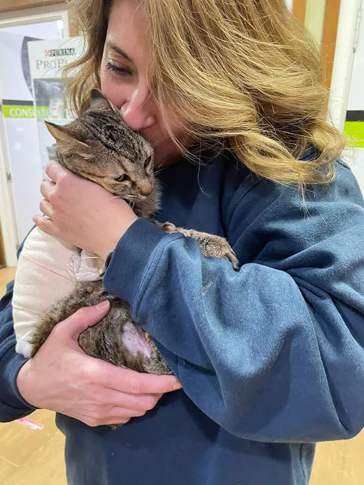 Asociacion Refugio Animales Abandonados Barbate1