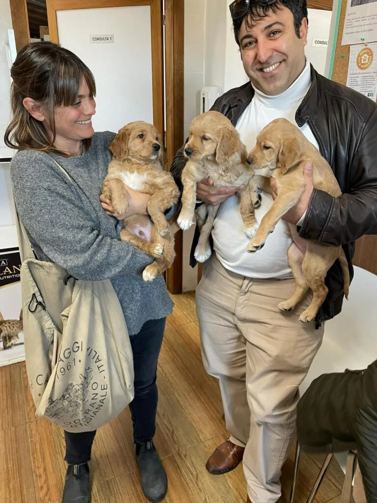 Asociacion Refugio Animales Abandonados Barbate2 768x1024