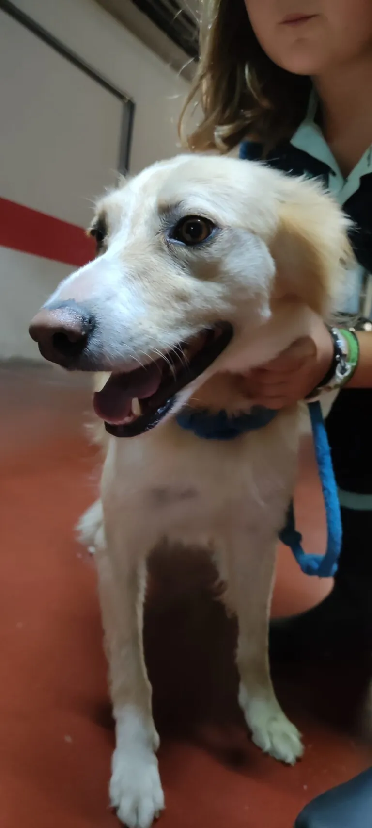 Ayra Bizkaia1 768x1706