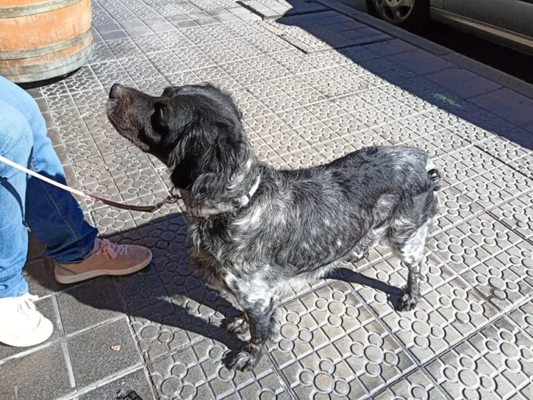 Ayra Bizkaia5 768x576