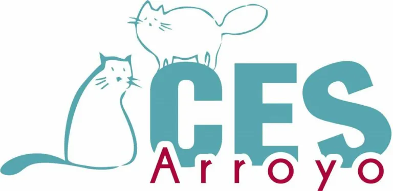 CES Arroyo Valladolid logo 768x374