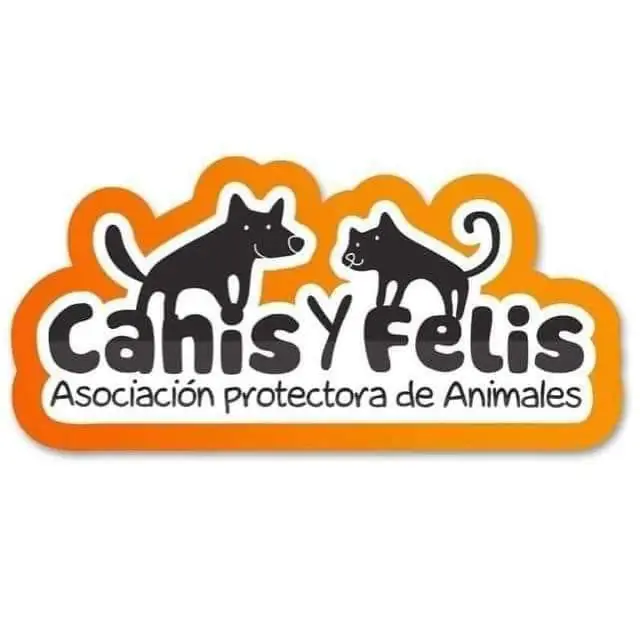 Canis y Felis logo