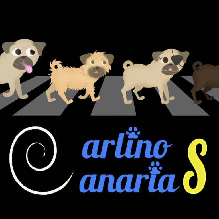 Carlinos Canarias Asociacion logo 768x768