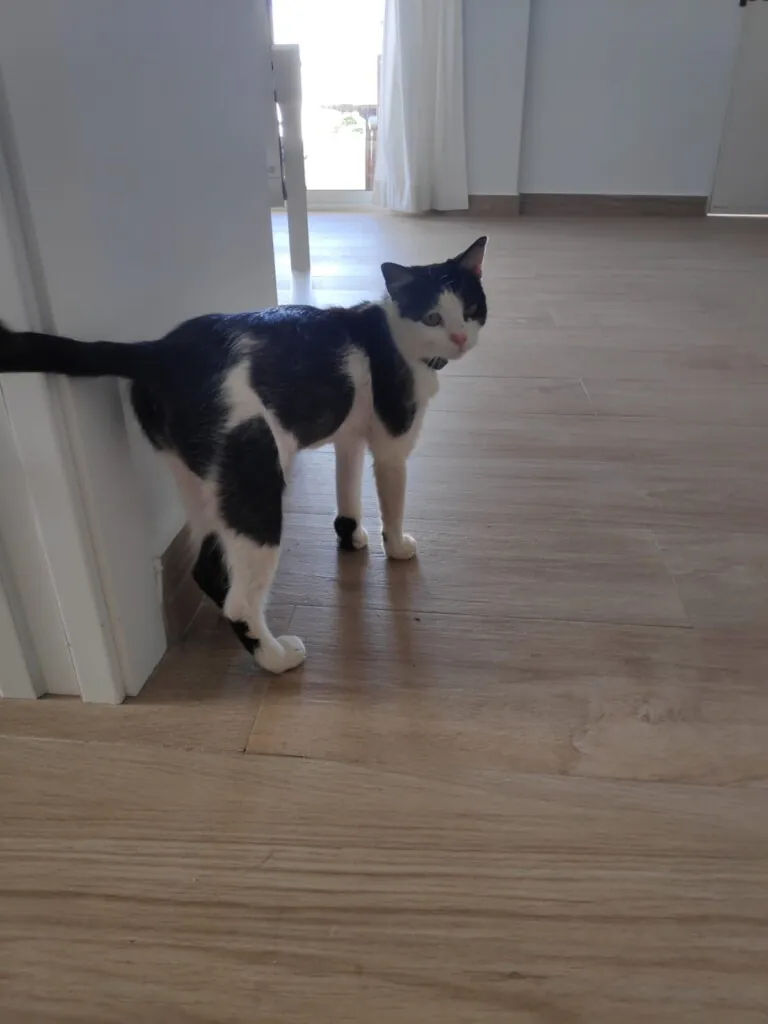 Con Unas y Dientes3 768x1024