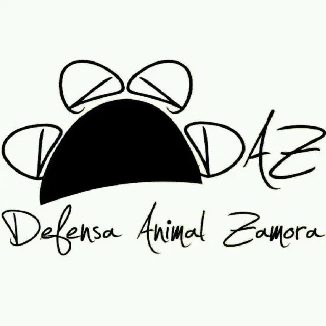 DAZ logo