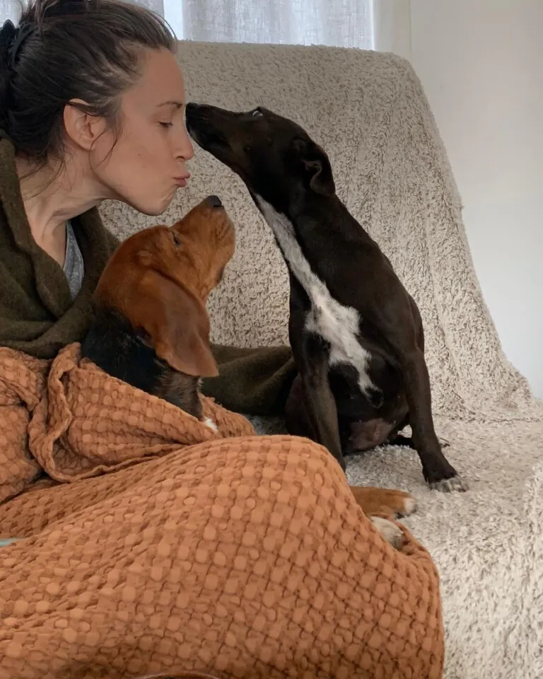 DogHorseCity3 768x960