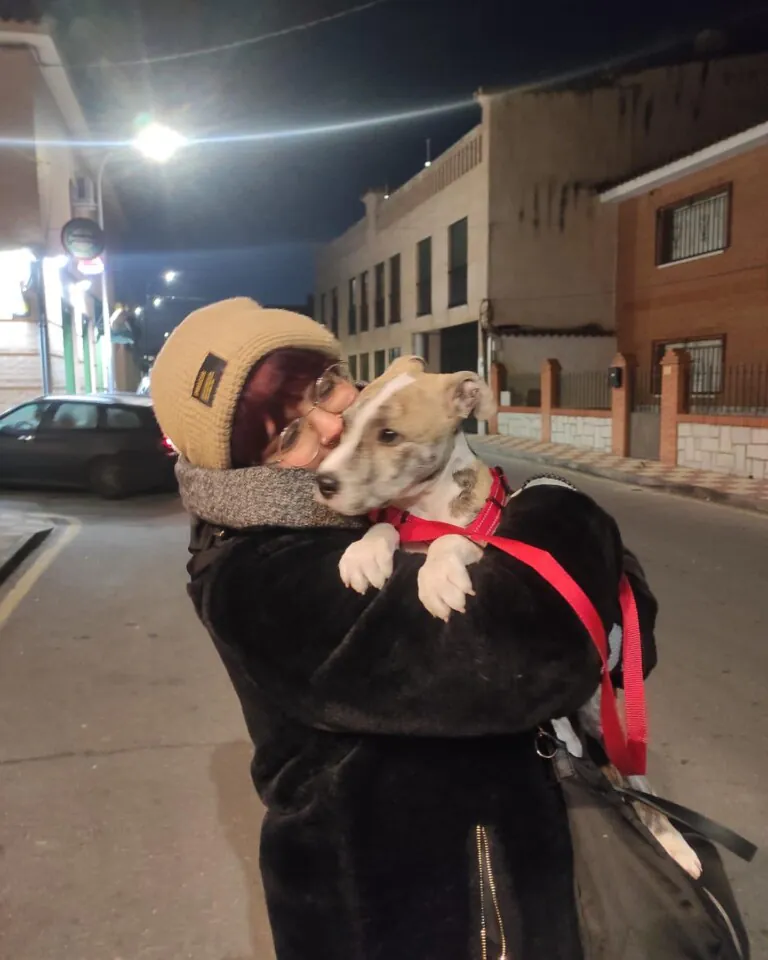 DogHorseCity5 768x960