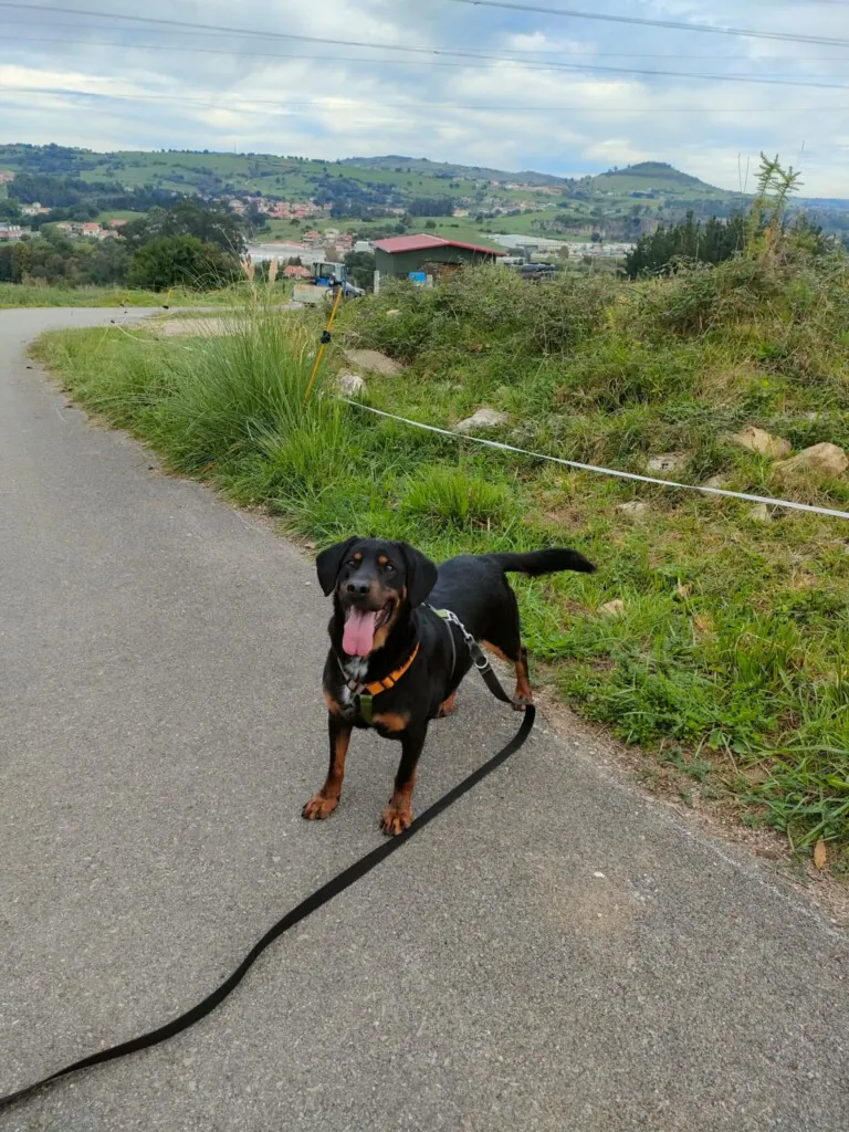 El Hogar de Yuki1 768x1024