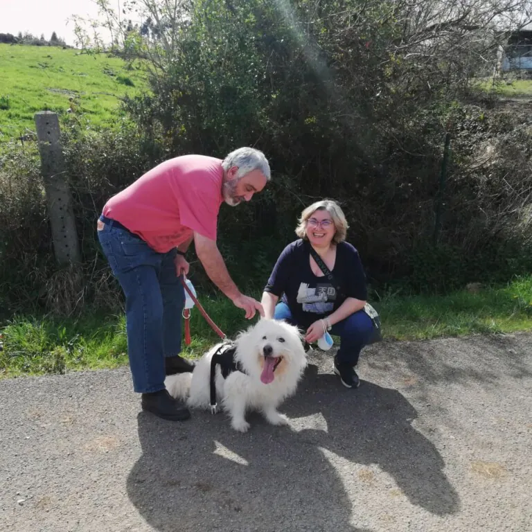 El Hogar de Yuki2 768x768