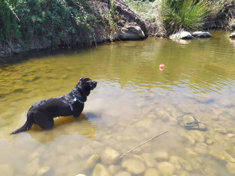 El Hogar de Yuki5 768x576