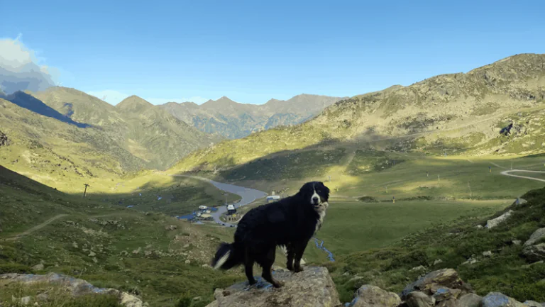 El Mirador Solar de Tristaina3 768x433