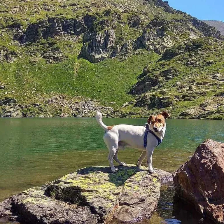 El Mirador Solar de Tristaina4 768x768