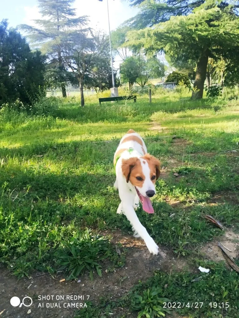 El Refugio de Brown1 768x1024