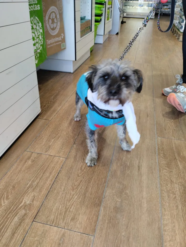 Hogar Abueletes Peludos1 768x1020