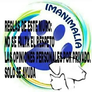 Imanimalia logo 1