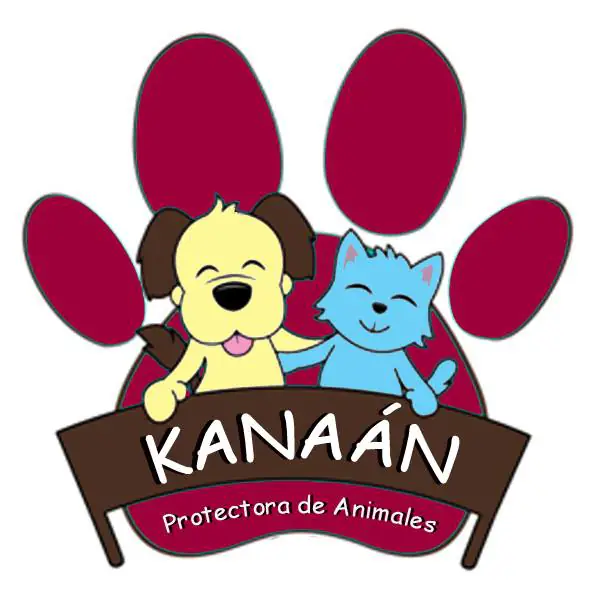 Kanaan logo