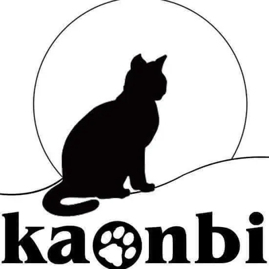 Kaonbi logo